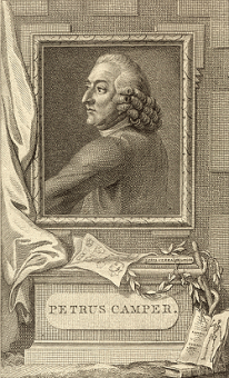 Afbeelding van Petrus Camper