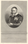 Afbeelding van Antonius Walaeus