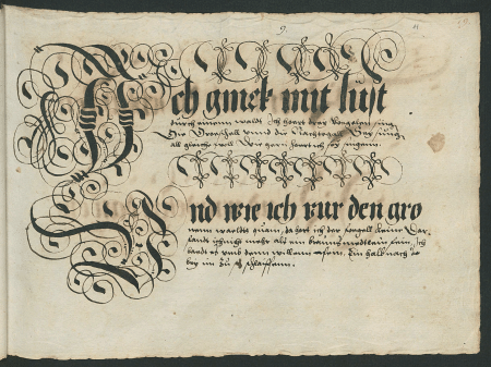illustratie
