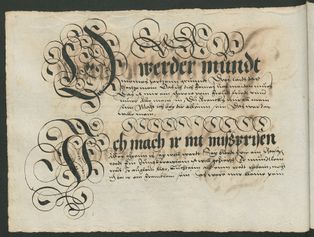 illustratie