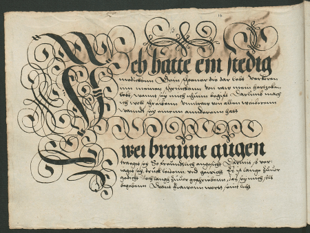 illustratie