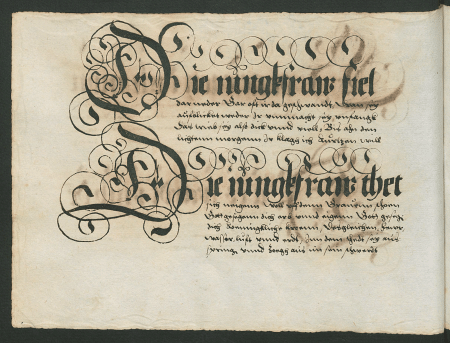 illustratie