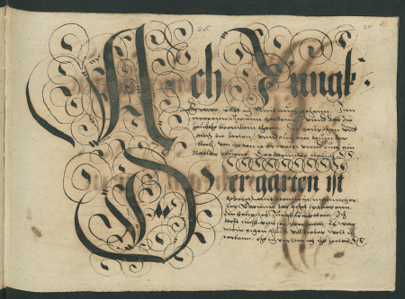 illustratie