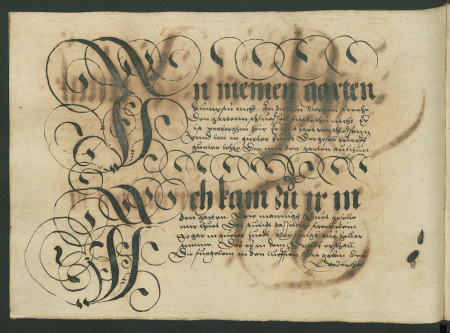 illustratie