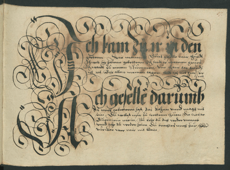 illustratie