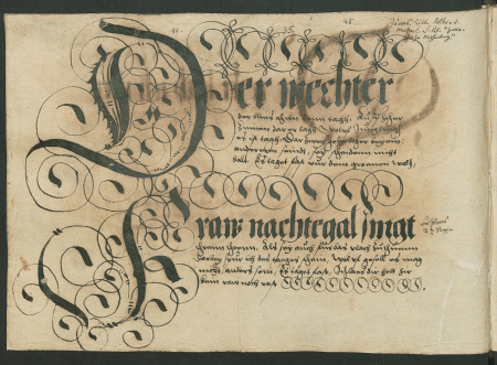 illustratie