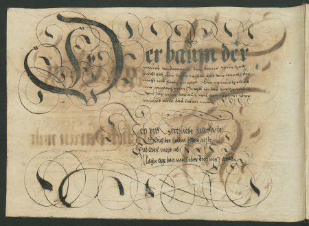 illustratie