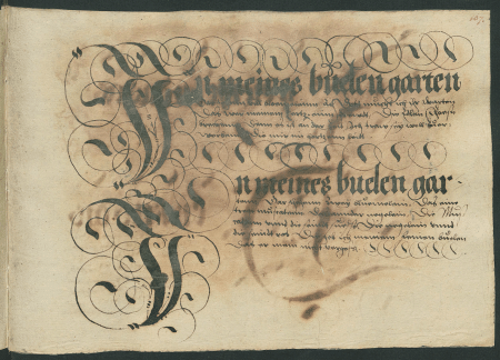 illustratie