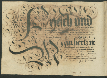illustratie