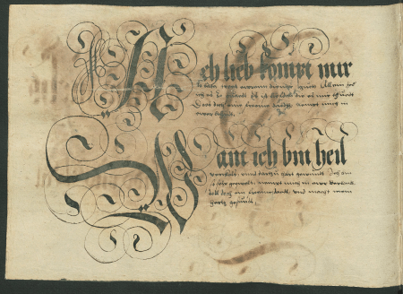 illustratie