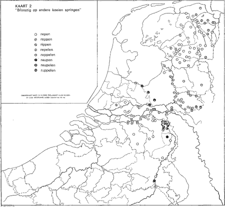 illustratie