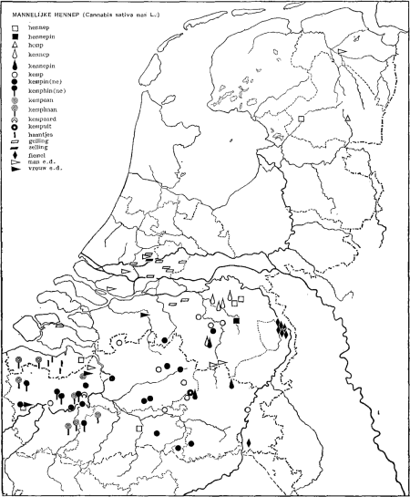 illustratie