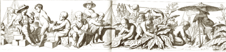 illustratie