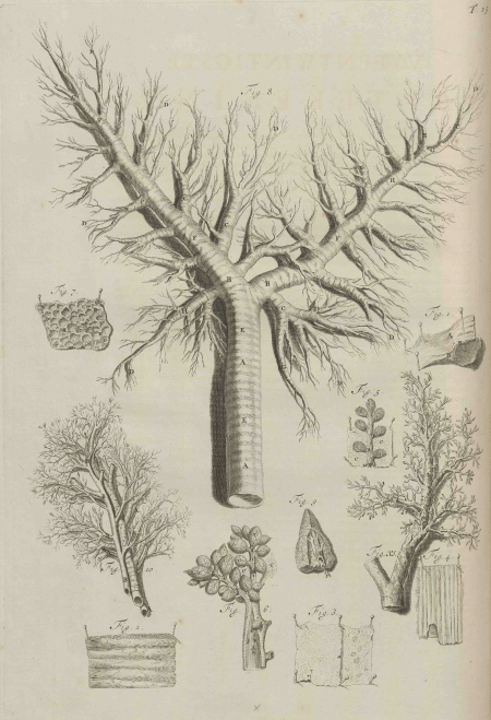 illustratie
