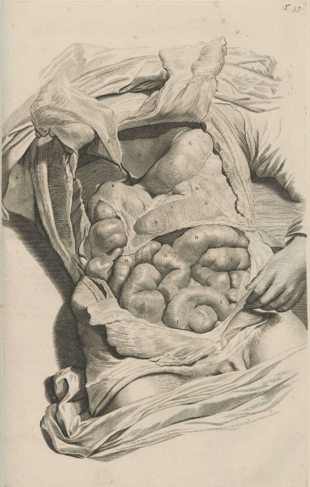 illustratie