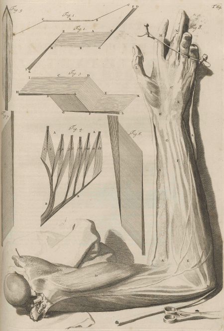 illustratie