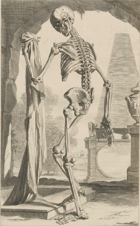 illustratie