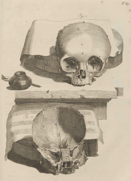 illustratie
