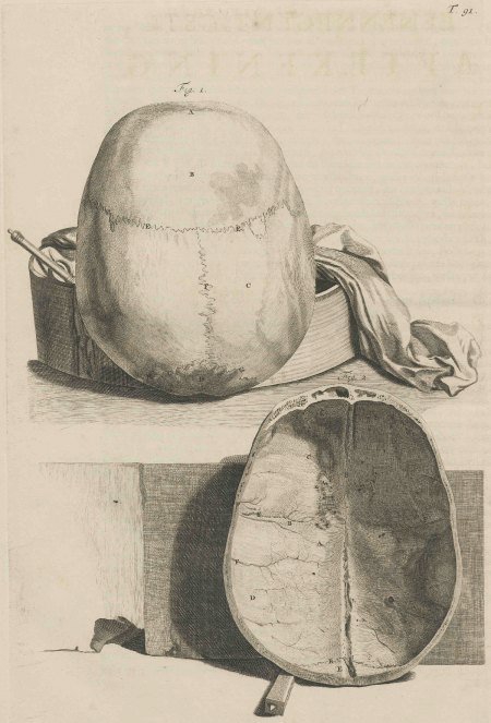 illustratie