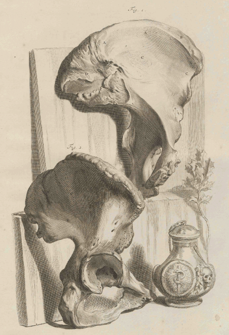 illustratie