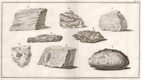 illustratie