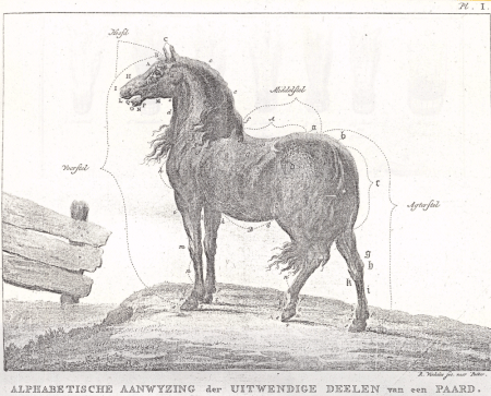 illustratie