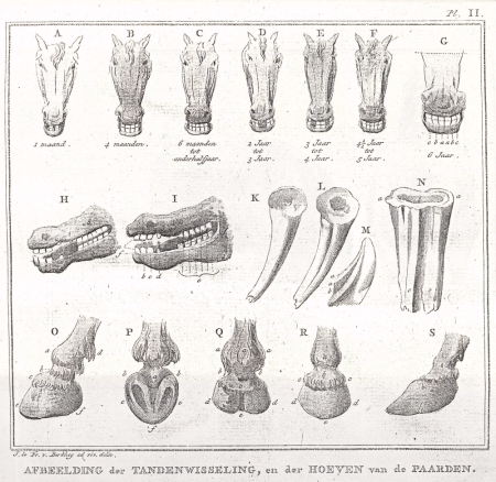 illustratie