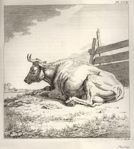 illustratie