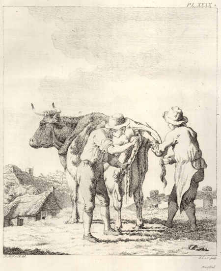 illustratie