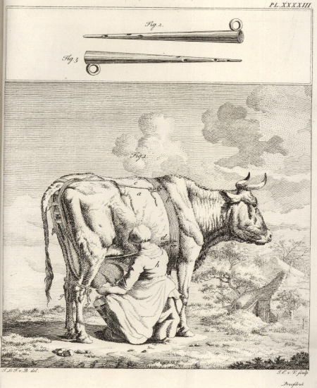 illustratie