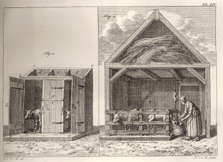 illustratie