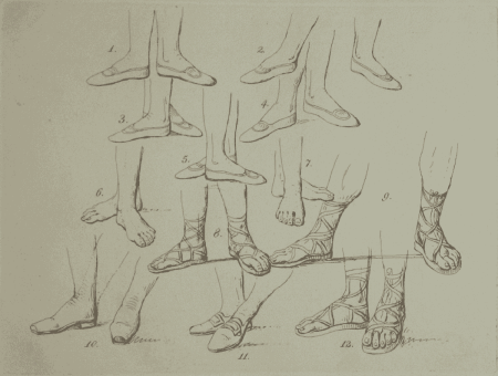 illustratie