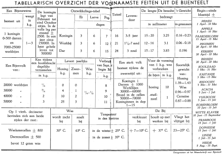 illustratie