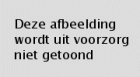 De Geschiedenis van Pig Pag Pengeltje en andere versjes, P. van Renssen