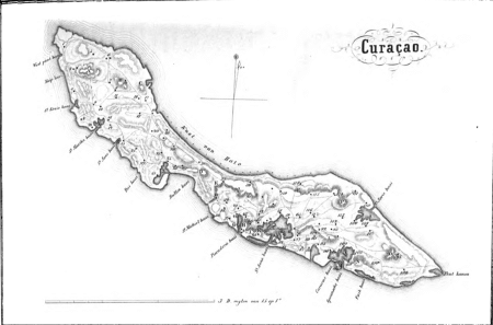 illustratie