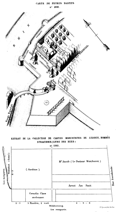 illustratie