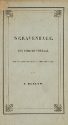 's Gravenhage, Adriaan Beeloo