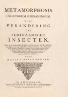 Metamorphosis insectorum Surinamensium, Maria Sibylla Merian