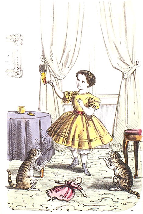 illustratie