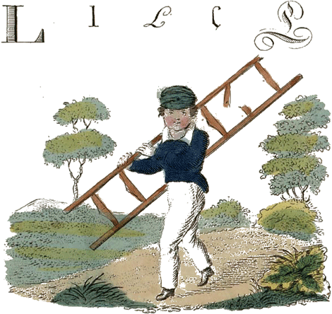 illustratie