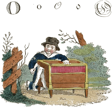 illustratie
