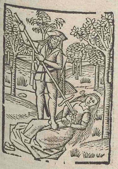 illustratie
