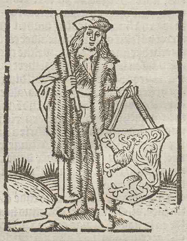 illustratie