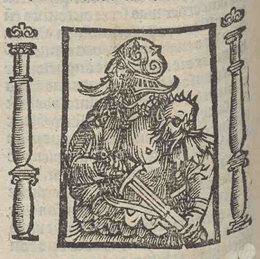 illustratie