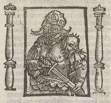 illustratie