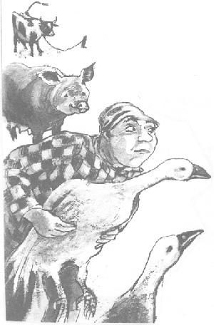 illustratie