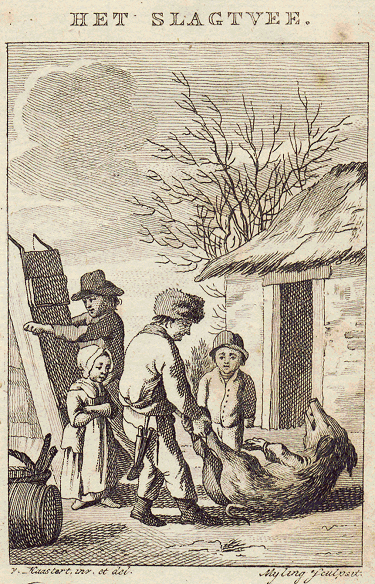 illustratie