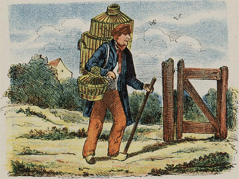 illustratie