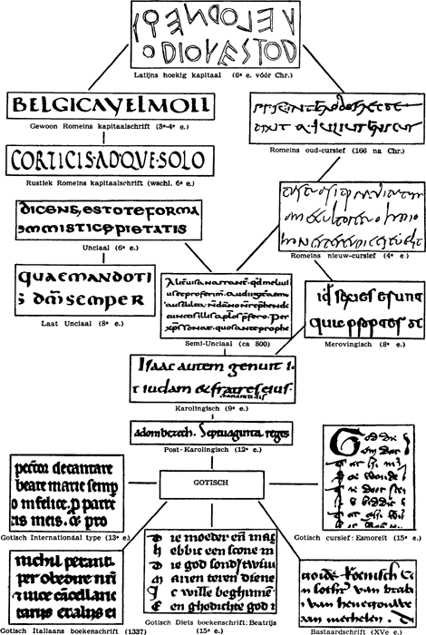 illustratie