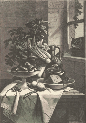 illustratie